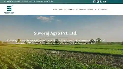 website design company in Kolkata